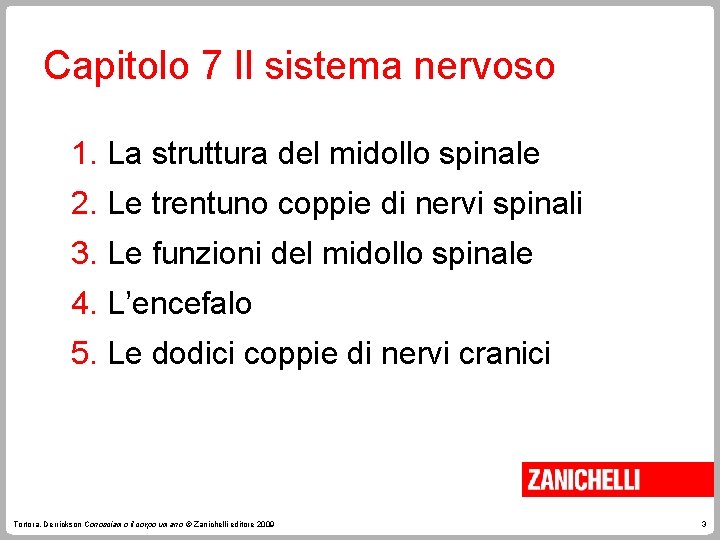 Capitolo 7 Il sistema nervoso 1. La struttura del midollo spinale 2. Le trentuno