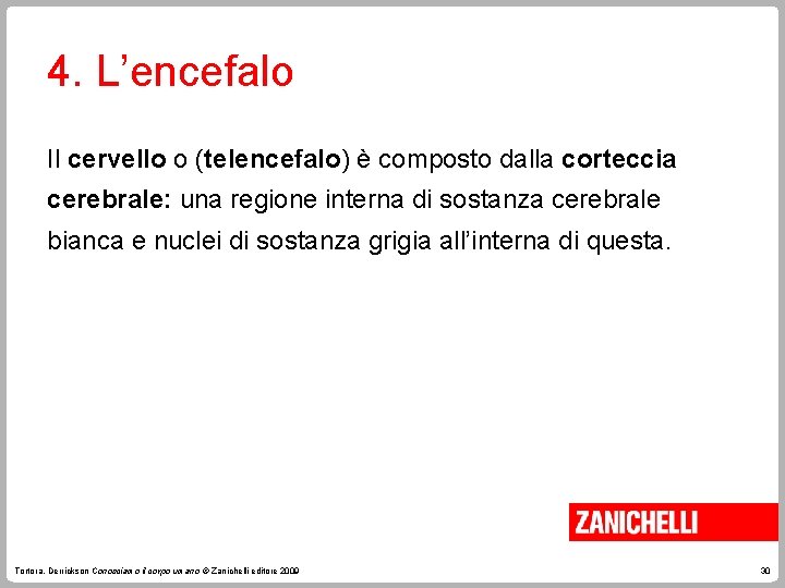 4. L’encefalo Il cervello o (telencefalo) è composto dalla corteccia cerebrale: una regione interna