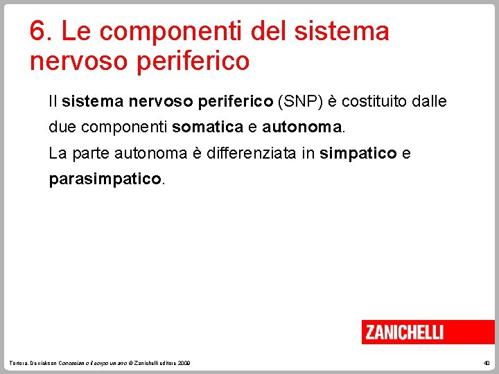 6. Le componenti del sistema nervoso periferico Il sistema nervoso periferico (SNP) è costituito