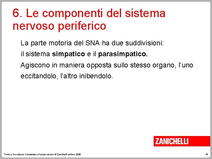 6. Le componenti del sistema nervoso periferico La parte motoria del SNA ha due