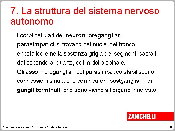 7. La struttura del sistema nervoso autonomo I corpi cellulari dei neuroni pregangliari parasimpatici