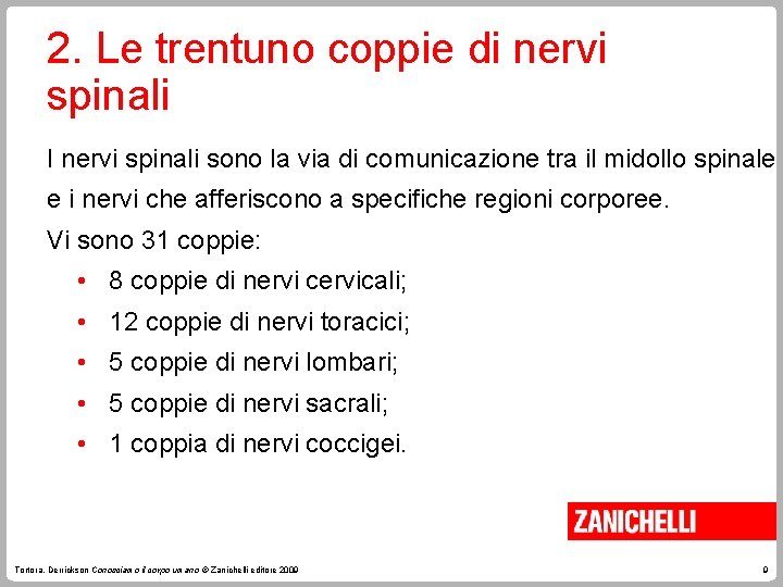 2. Le trentuno coppie di nervi spinali I nervi spinali sono la via di