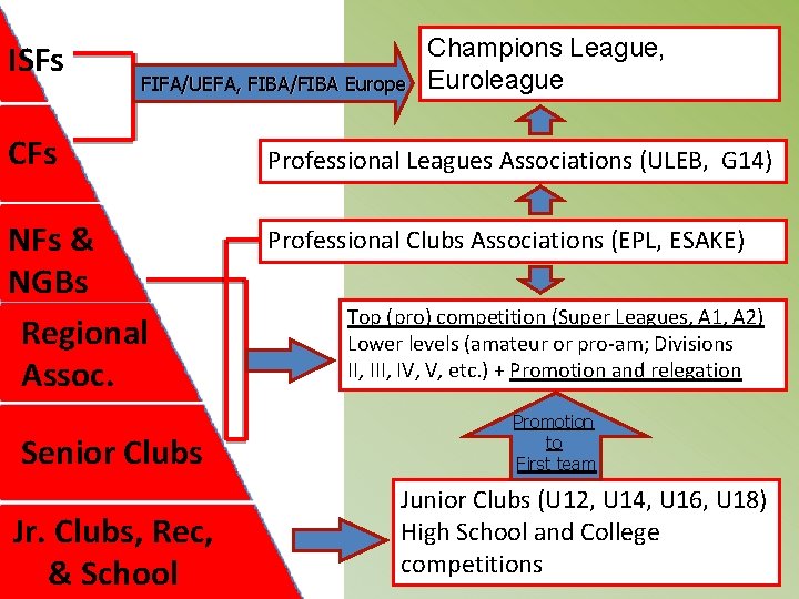 ISFs FIFA/UEFA, FIBA/FIBA Europe CFs NFs & NGBs Regional Assoc. Senior Clubs Jr. Clubs,