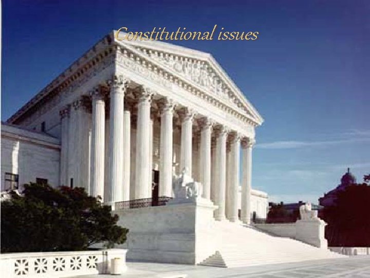 Constitutional issues 