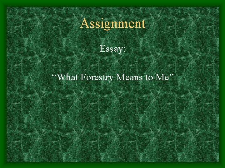 Assignment Essay: “What Forestry Means to Me” Assignment Essay: “What Forestry Means to Me”