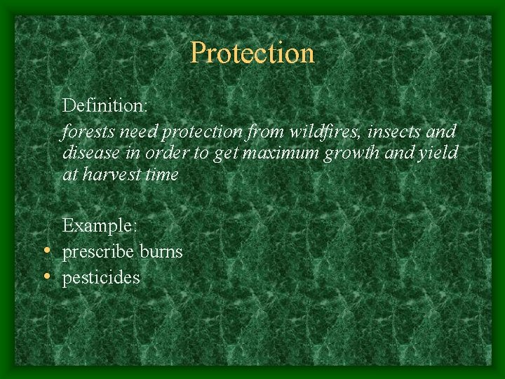 Protection Definition: forests need protection from wildfires, insects and disease in order to get Protection Definition: forests need protection from wildfires, insects and disease in order to get