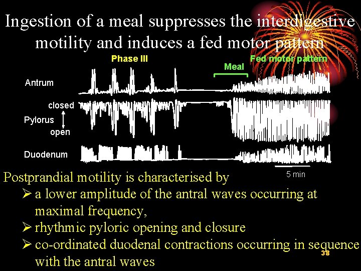 Ingestion of a meal suppresses the interdigestive motility and induces a fed motor pattern