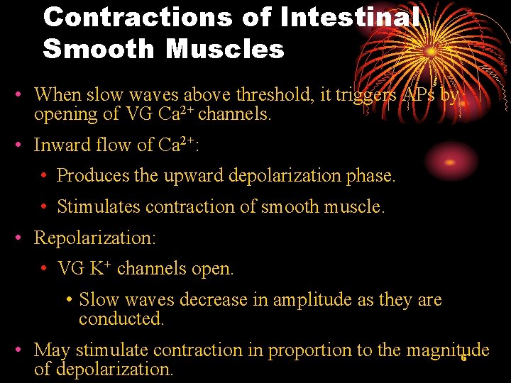 Contractions of Intestinal Smooth Muscles • When slow waves above threshold, it triggers APs