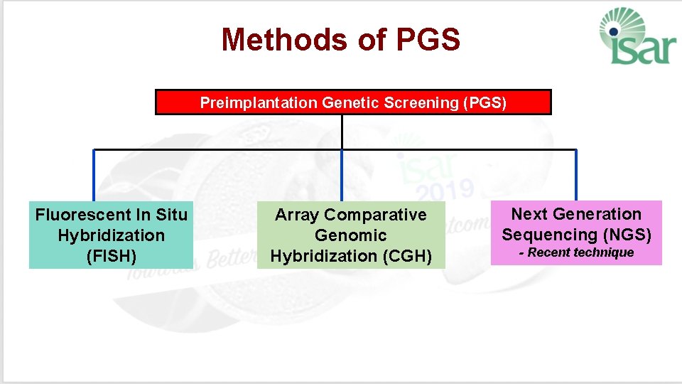 Methods of PGS Preimplantation Genetic Screening (PGS) Fluorescent In Situ Hybridization (FISH) Array Comparative