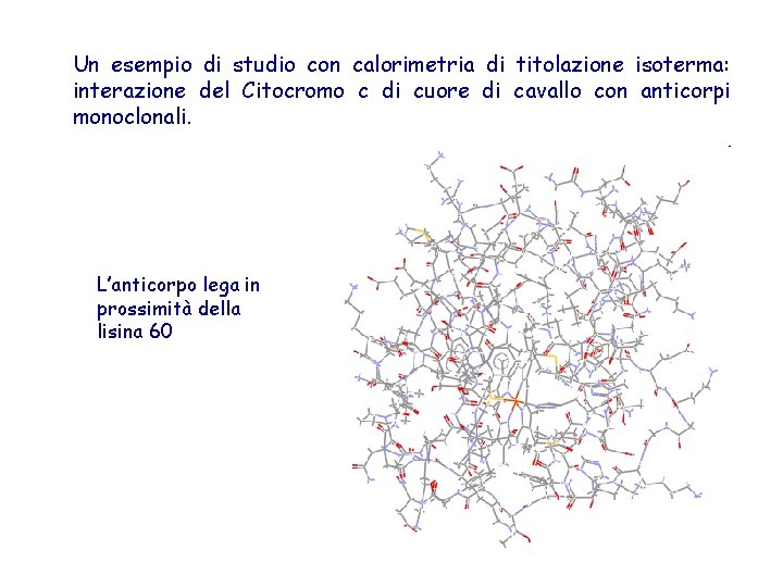 Un esempio di studio con calorimetria di titolazione isoterma: interazione del Citocromo c di