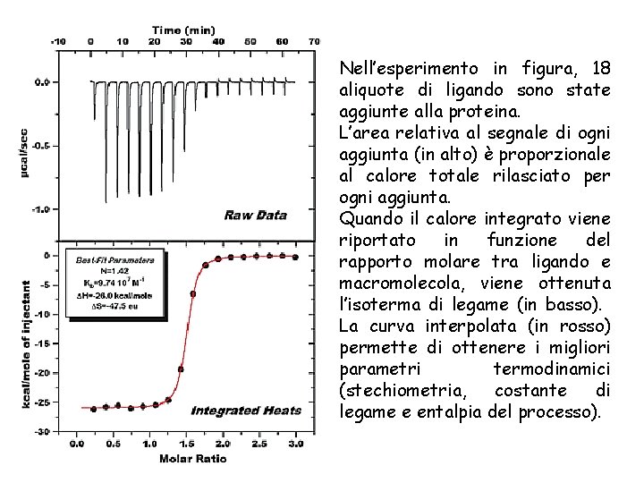 Nell’esperimento in figura, 18 aliquote di ligando sono state aggiunte alla proteina. L’area relativa