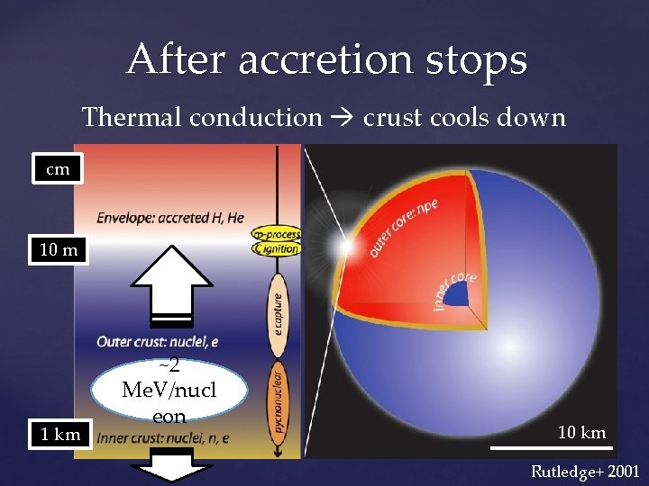 After accretion stops Thermal conduction crust cools down cm 10 m 1 km ~2