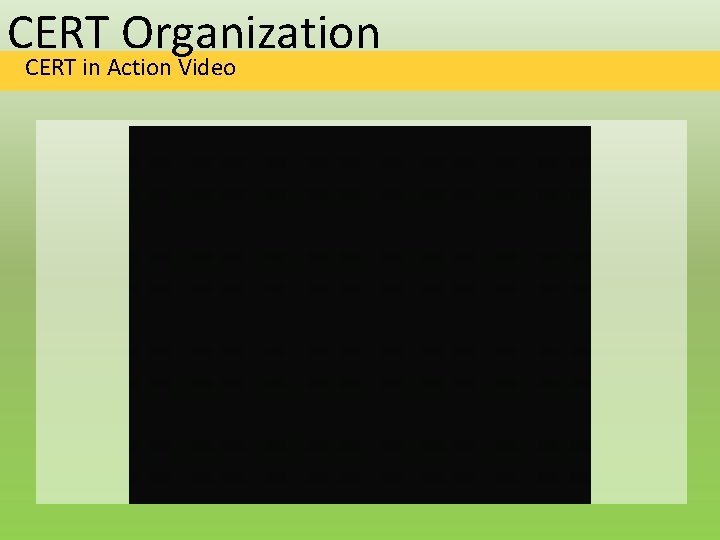 CERT Organization CERT in Action Video 