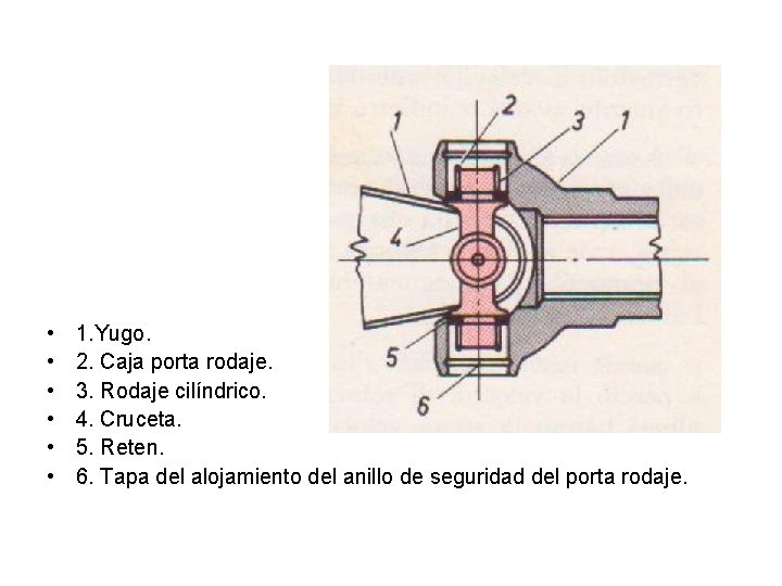  • • • 1. Yugo. 2. Caja porta rodaje. 3. Rodaje cilíndrico. 4.