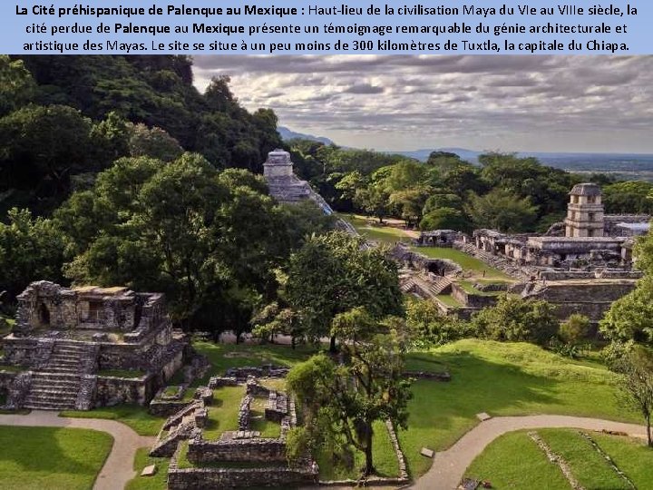 La Cité préhispanique de Palenque au Mexique : Haut-lieu de la civilisation Maya du