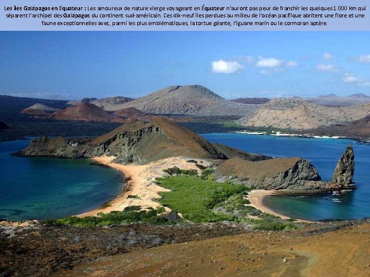 Les îles Galápagos en Equateur : Les amoureux de nature vierge voyageant en Équateur