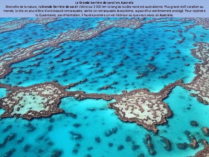 La Grande barrière de corail en Australie Merveille de la nature, la Grande Barrière