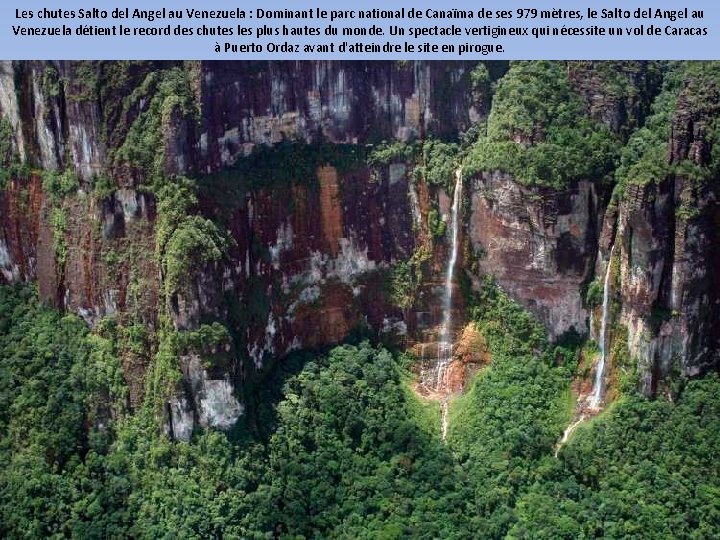 Les chutes Salto del Angel au Venezuela : Dominant le parc national de Canaïma