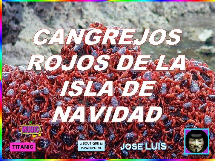 CANGREJOS ROJOS DE LA ISLA DE NAVIDAD TITANIC JOSE LUIS 