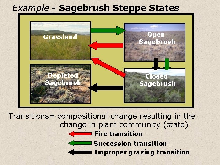 Example - Sagebrush Steppe States Grassland Open Sagebrush Depleted Sagebrush Closed Sagebrush Transitions= compositional