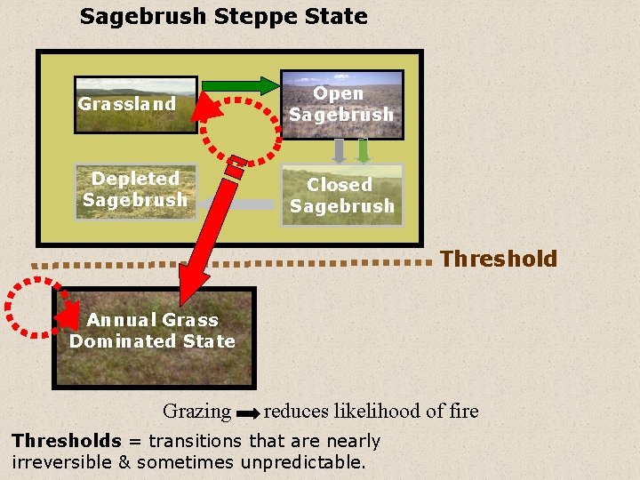 Sagebrush Steppe State Grassland Open Sagebrush Depleted Sagebrush Closed Sagebrush Threshold Annual Grass Dominated