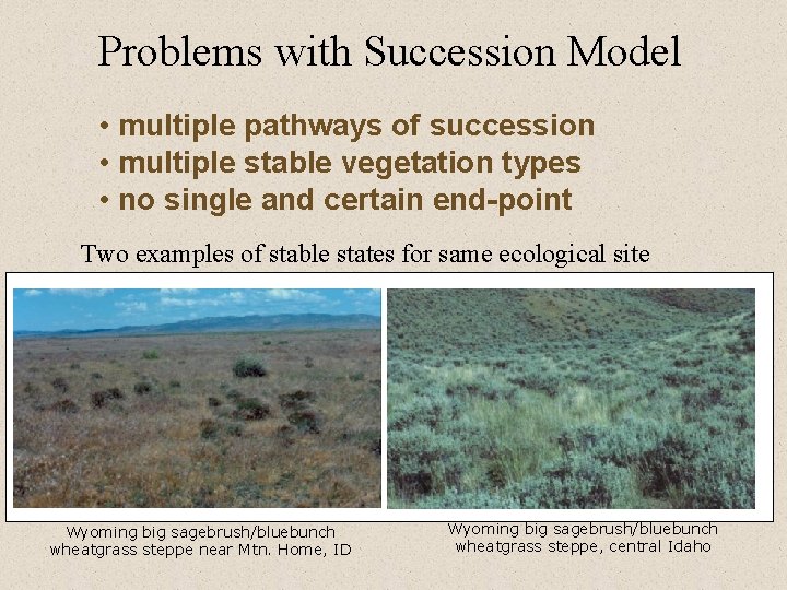 Problems with Succession Model • multiple pathways of succession • multiple stable vegetation types