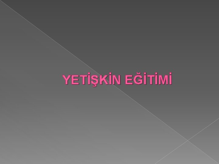 YETİŞKİN EĞİTİMİ 