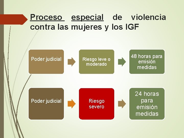 Proceso especial de violencia contra las mujeres y los IGF Poder judicial Riesgo leve