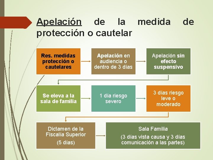 Apelación de la medida protección o cautelar de Res. medidas protección o cautelares Apelación