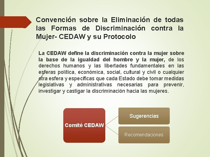 Convención sobre la Eliminación de todas las Formas de Discriminación contra la Mujer- CEDAW