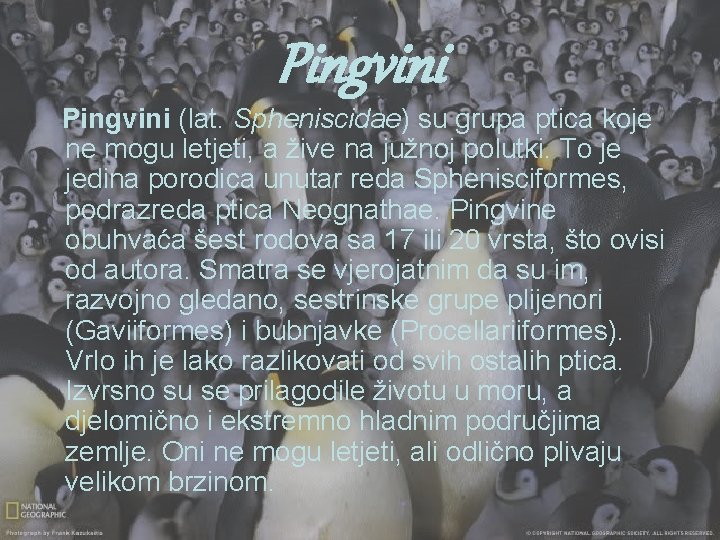 Pingvini (lat. Spheniscidae) su grupa ptica koje ne mogu letjeti, a žive na južnoj