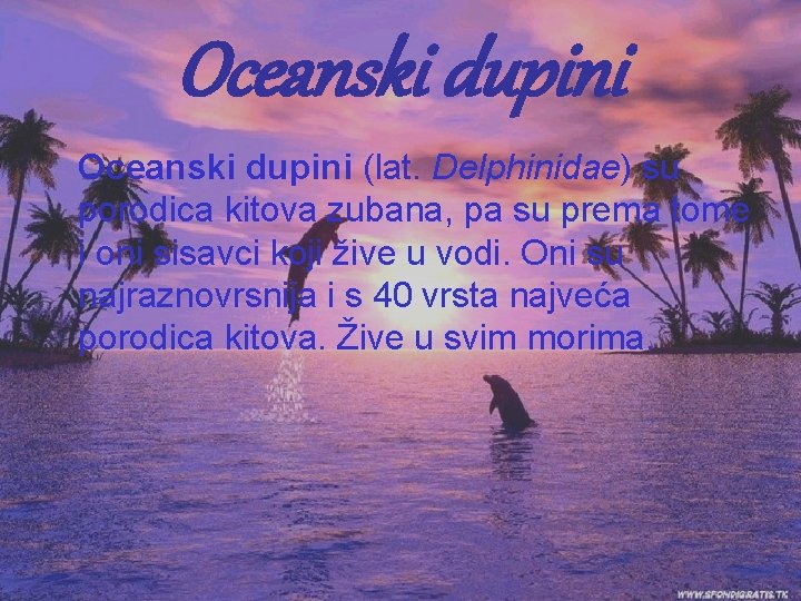 Oceanski dupini (lat. Delphinidae) su porodica kitova zubana, pa su prema tome i oni Oceanski dupini (lat. Delphinidae) su porodica kitova zubana, pa su prema tome i oni