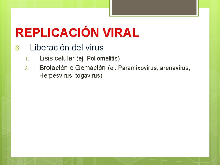 REPLICACIÓN VIRAL Liberación del virus 6. 1. 2. Lisis celular (ej. Poliomelitis) Brotación o