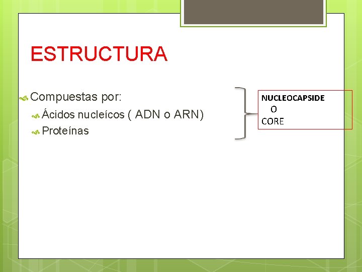 ESTRUCTURA Compuestas por: Ácidos nucleícos ( ADN o ARN) Proteínas NUCLEOCAPSIDE O CORE 