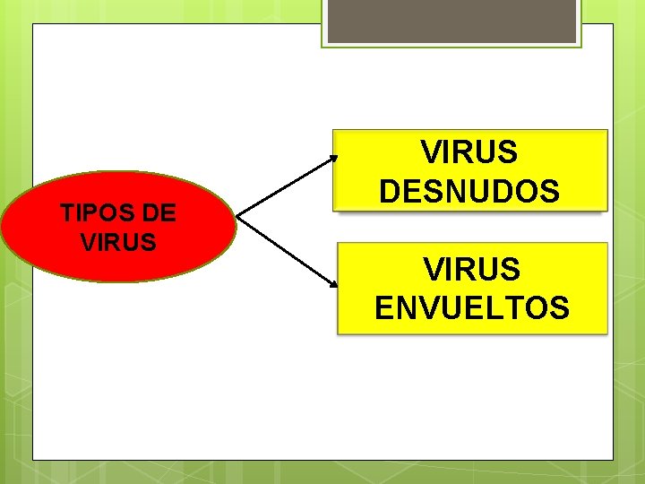 TIPOS DE VIRUS DESNUDOS VIRUS ENVUELTOS 