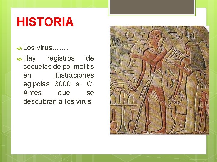 HISTORIA Los virus……. Hay registros de secuelas de polimelitis en ilustraciones egipcias 3000 a.