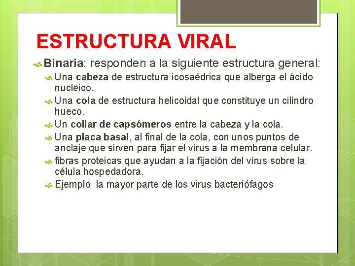 ESTRUCTURA VIRAL Binaria: responden a la siguiente estructura general: Una cabeza de estructura icosaédrica