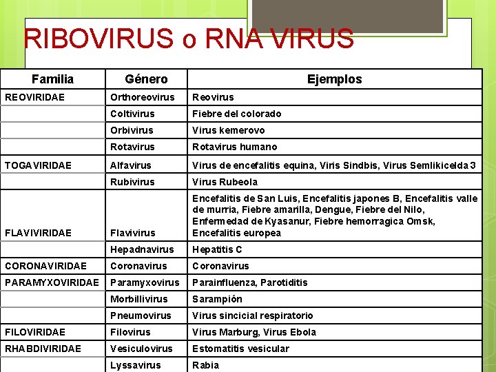 RIBOVIRUS o RNA VIRUS Familia Género Ejemplos REOVIRIDAE Orthoreovirus Reovirus Coltivirus Fiebre del colorado