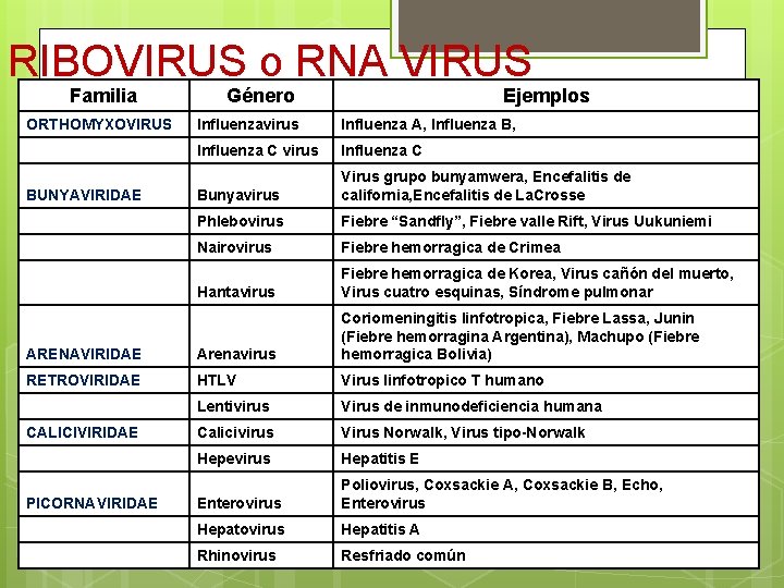 RIBOVIRUS o RNA VIRUS Familia Género Ejemplos ORTHOMYXOVIRUS Influenzavirus Influenza A, Influenza B, Influenza