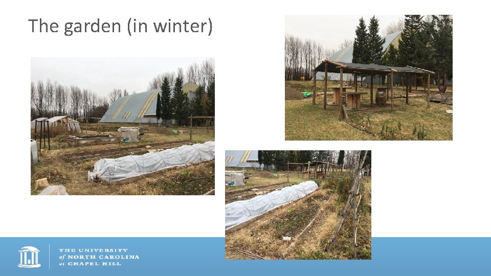 The garden (in winter) 