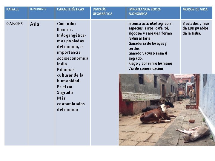 PAISA. JE CONTINENTE CARACTERÍSTICAS GANGES Asia Con Indo: llanura. Indogangéticamás pobladas del mundo, e PAISA. JE CONTINENTE CARACTERÍSTICAS GANGES Asia Con Indo: llanura. Indogangéticamás pobladas del mundo, e