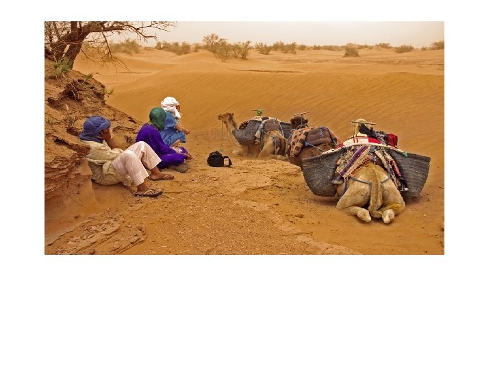 DESIERTOS DESIERTOS