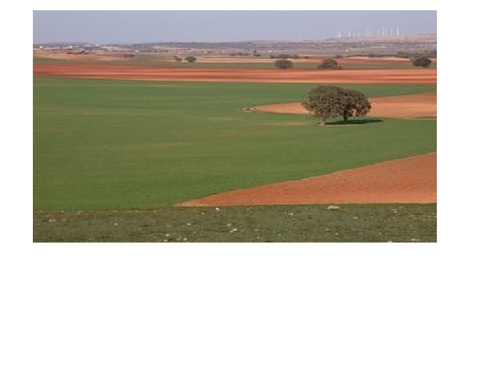 VALLES Y LLANURAS VALLES Y LLANURAS