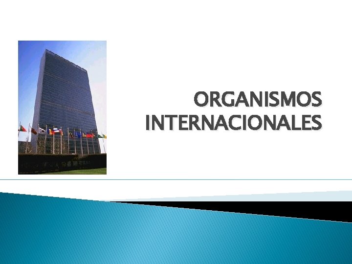 ORGANISMOS INTERNACIONALES 