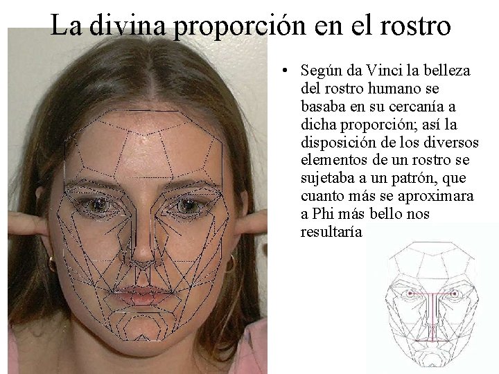 La divina proporción en el rostro • Según da Vinci la belleza del rostro