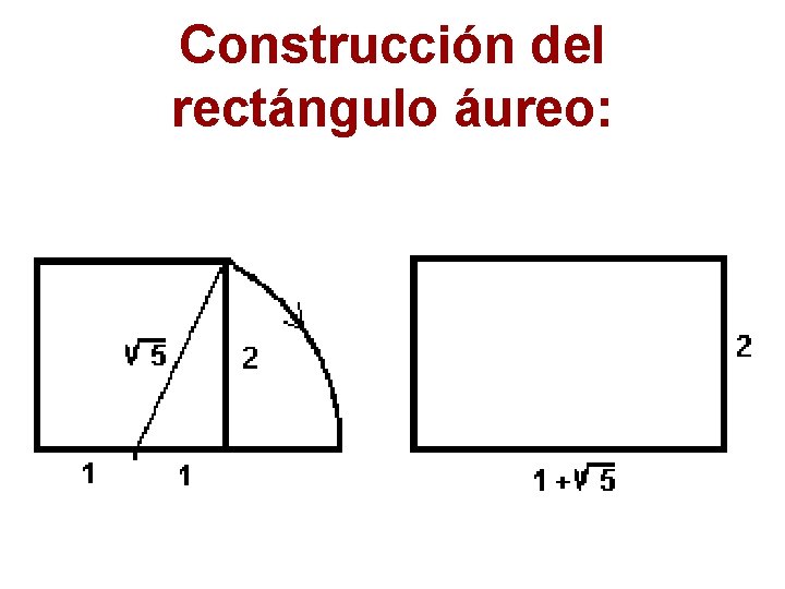 Construcción del rectángulo áureo: 