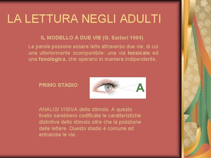LA LETTURA NEGLI ADULTI IL MODELLO A DUE VIE (G. Sartori 1984) Le parole