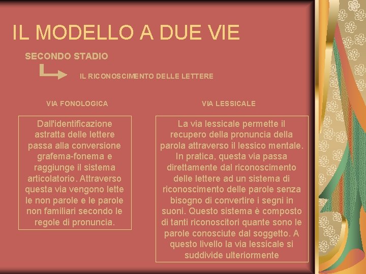 IL MODELLO A DUE VIE SECONDO STADIO IL RICONOSCIMENTO DELLE LETTERE VIA FONOLOGICA Dall'identificazione