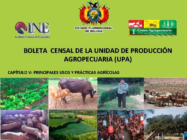 BOLETA CENSAL DE LA UNIDAD DE PRODUCCIÓN AGROPECUARIA (UPA) CAPÍTULO V: PRINCIPALES USOS Y