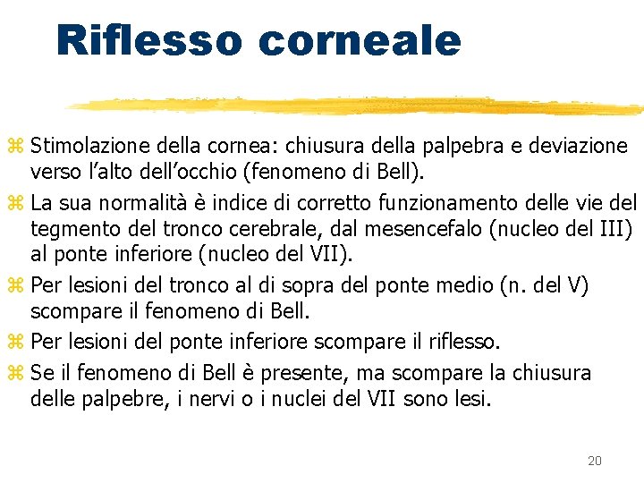 Riflesso corneale z Stimolazione della cornea: chiusura della palpebra e deviazione verso l’alto dell’occhio